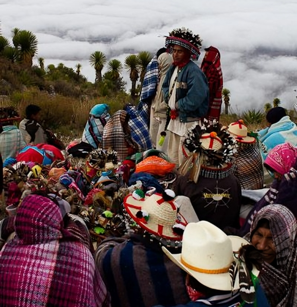 brujos de catemaco reunidos